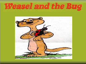 Watergate Street - Weasel and the Bug